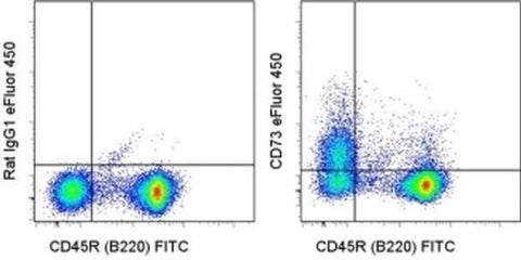 CD73 Monoclonal Antibody (eBioTY/11.8 (TY/11.8)), eFluor 450, eBioscience