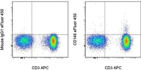 CD146 Monoclonal Antibody (P1H12), eFluor 450, eBioscience