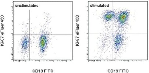 Ki-67 Monoclonal Antibody (SolA15), eFluor 450, eBioscience
