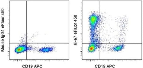 Ki-67 Monoclonal Antibody (20Raj1), eFluor 450, eBioscience