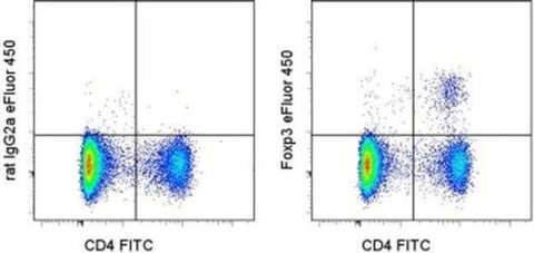 FOXP3 Monoclonal Antibody (FJK-16s), eFluor 450, eBioscience