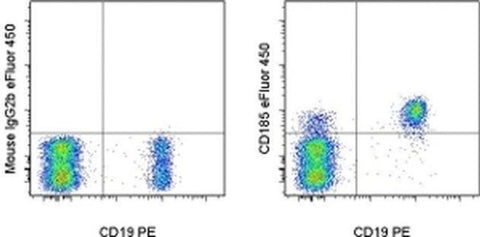 CD185 (CXCR5) Monoclonal Antibody (MU5UBEE), eFluor 450, eBioscience
