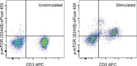 Phospho-mTOR (Ser2448) Monoclonal Antibody (MRRBY), eFluor 450, eBioscience
