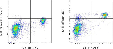 Sall1 Monoclonal Antibody (NRNSTNX), eFluor 450, eBioscience