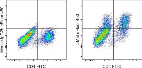 c-MAF Monoclonal Antibody (sym0F1), eFluor 450, eBioscience