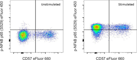 Phospho-NFkB p65 (Ser529) Monoclonal Antibody (B33B4WP), eFluor 450, eBioscience