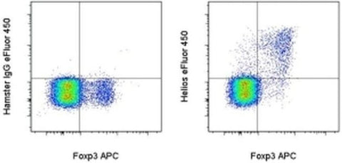 HELIOS Monoclonal Antibody (22F6), eFluor 450, eBioscience