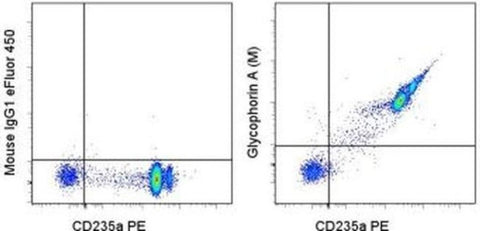 CD235a (Glycophorin A) Monoclonal Antibody (6A7M), eFluor 450, eBioscience