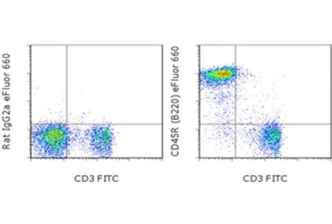 CD45R (B220) Monoclonal Antibody (RA3-6B2), eFluor 660, eBioscience