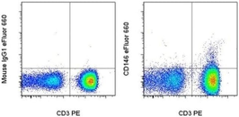 CD146 Monoclonal Antibody (P1H12), eFluor 660, eBioscience
