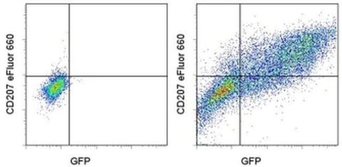 CD207 (Langerin) Monoclonal Antibody (eBioRMUL.2), eFluor 660, eBioscience