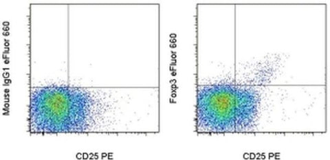 FOXP3 Monoclonal Antibody (236A/E7), eFluor 660, eBioscience