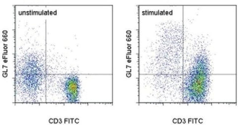 GL7 Monoclonal Antibody (GL-7 (GL7)), eFluor 660, eBioscience