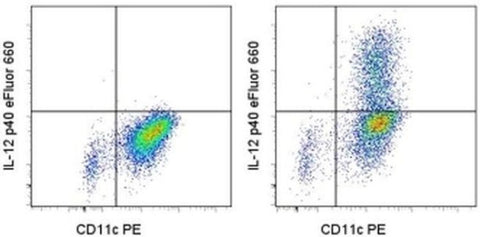 IL-12/IL-23 p40 Monoclonal Antibody (eBioHP40 (HP40, HP-40)), eFluor 660, eBioscience