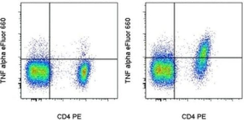 TNF alpha Monoclonal Antibody (TN3-19.12), eFluor 660, eBioscience