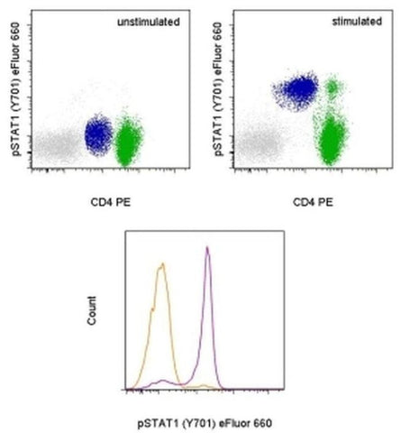 Phospho-STAT1 (Tyr701) Monoclonal Antibody (KIKSI0803), eFluor 660, eBioscience