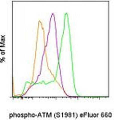Phospho-ATM (Ser1981) Monoclonal Antibody (10H11.E12), eFluor 660, eBioscience