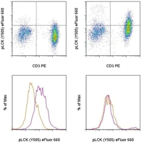 Phospho-LCK (Tyr505) Monoclonal Antibody (SRRCHA), eFluor 660, eBioscience