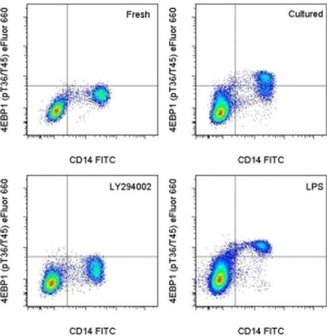 Phospho-4EBP1 (Thr36, Thr45) Monoclonal Antibody (V3NTY24), eFluor 660, eBioscience