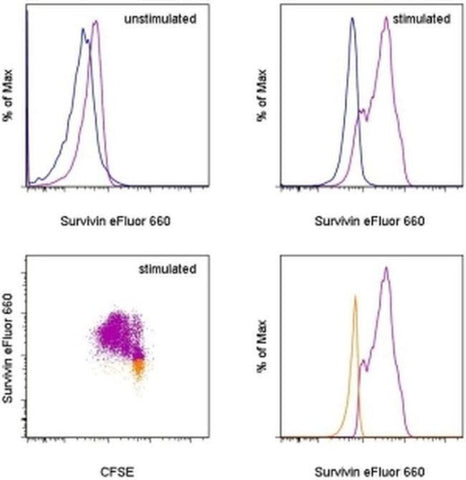 Survivin Monoclonal Antibody (STLALYV), eFluor 660, eBioscience