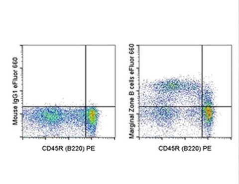 Marginal Zone B Cells Monoclonal Antibody (HIS57), eFluor 660, eBioscience