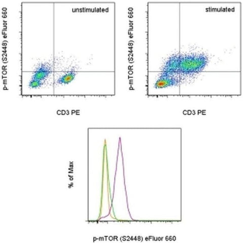 Phospho-mTOR (Ser2448) Monoclonal Antibody (MRRBY), eFluor 660, eBioscience