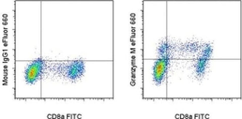 Granzyme M Monoclonal Antibody (4B2G4), eFluor 660, eBioscience