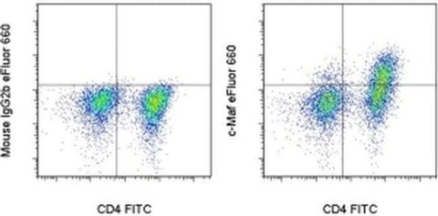 c-MAF Monoclonal Antibody (sym0F1), eFluor 660, eBioscience
