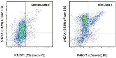 Phospho-Histone H2A.X (Ser139) Monoclonal Antibody (CR55T33), eFluor 660, eBioscience