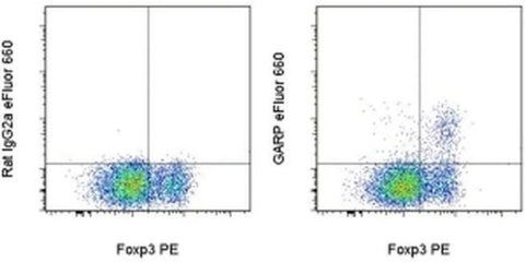 GARP Monoclonal Antibody (G14D9), eFluor 660, eBioscience