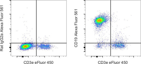 CD19 Monoclonal Antibody (eBio1D3 (1D3)), Alexa Fluor 561, eBioscience
