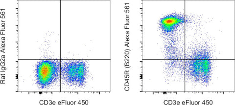 CD45R (B220) Monoclonal Antibody (RA3-6B2), Alexa Fluor 561, eBioscience