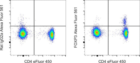 FOXP3 Monoclonal Antibody (PCH101), Alexa Fluor 561, eBioscience