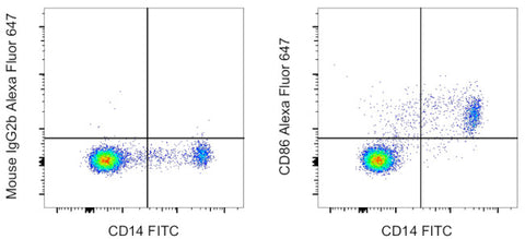 CD86 (B7-2) Monoclonal Antibody (IT2.2), Alexa Fluor 647, eBioscience