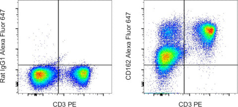 CD162 (PSGL-1) Monoclonal Antibody (4RA10), Alexa Fluor 647, eBioscience