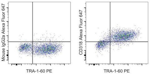 CD318 (CDCP1) Monoclonal Antibody (CSTEM26), Alexa Fluor 647, eBioscience