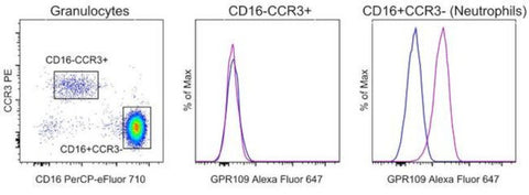 GPR109 Monoclonal Antibody (4NZBRGO), Alexa Fluor 647, eBioscience