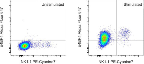E4BP4 (NFIL3) Monoclonal Antibody (S2M-E19), Alexa Fluor 647, eBioscience
