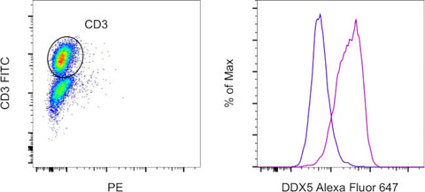 DDX5 Monoclonal Antibody (Ab204), Alexa Fluor 647, eBioscience