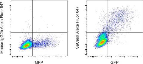 Staphylococcus aureus Cas9 Monoclonal Antibody (6H4), Alexa Fluor 647, eBioscience