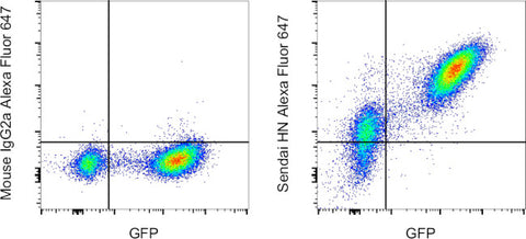 Sendai virus HN Monoclonal Antibody (1A6), Alexa Fluor 647, eBioscience