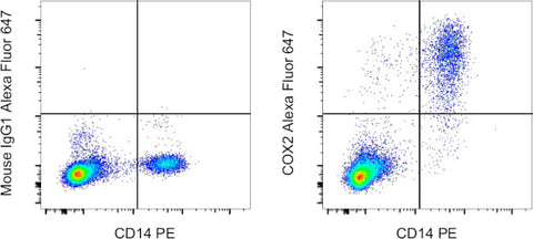 COX2 Monoclonal Antibody (COX 229), Alexa Fluor 647, eBioscience