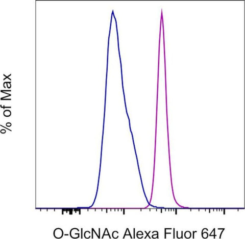O-GlcNAc Monoclonal Antibody (RL2), Alexa Fluor 647, eBioscience