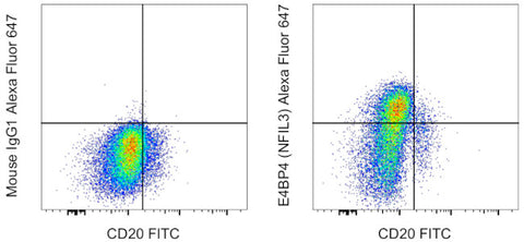E4BP4 (NFIL3) Monoclonal Antibody (MABA223), Alexa Fluor 647, eBioscience