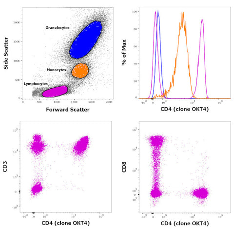 CD4 Monoclonal Antibody (OKT4 (OKT-4)), Alexa Fluor 488, eBioscience
