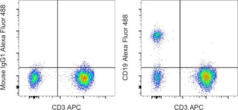 CD19 Monoclonal Antibody (SJ25C1), Alexa Fluor 488, eBioscience