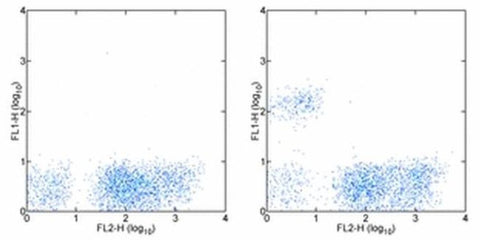 CD19 Monoclonal Antibody (HIB19), Alexa Fluor 488, eBioscience