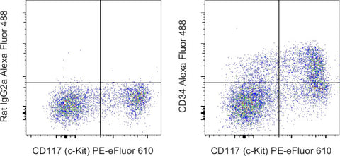 CD34 Monoclonal Antibody (RAM34), Alexa Fluor 488, eBioscience