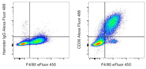 CD36 Monoclonal Antibody (HM36), Alexa Fluor 488, eBioscience