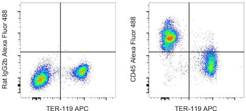 CD45 Monoclonal Antibody (30-F11), Alexa Fluor 488, eBioscience